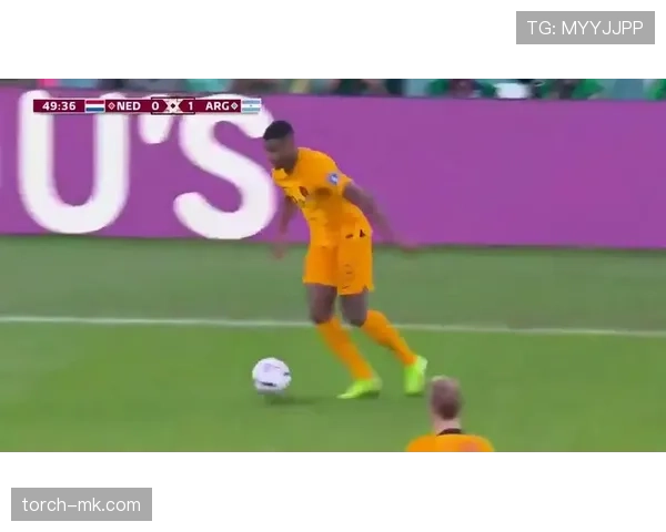 阿库尼亚防守出色助球队后防稳健表现引发关注