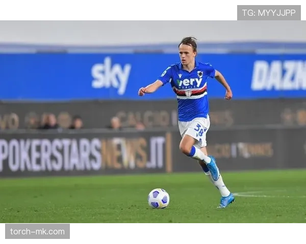 达姆斯高战术适配性